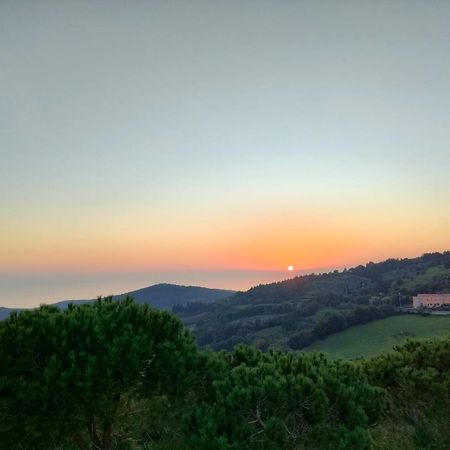 Vista Sulle Isole Dell'Arcipelago Toscano Nibbiaia Kamer foto